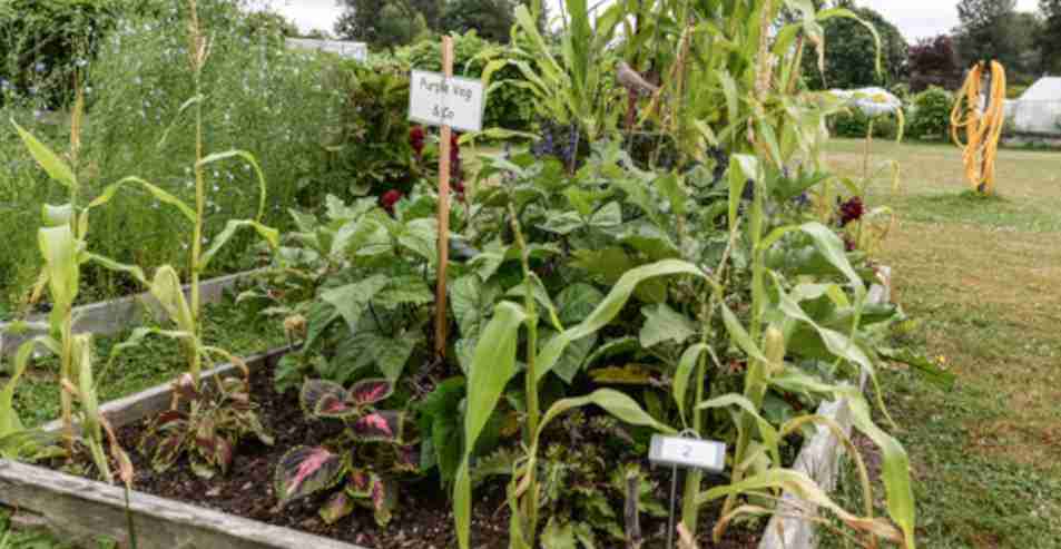Demo plots